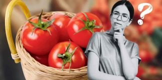 La scoperta sulla conservazione dei pomodori