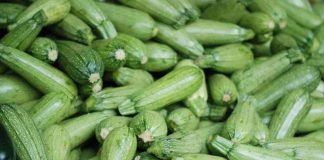 Come prepara gli involtini di zucchine