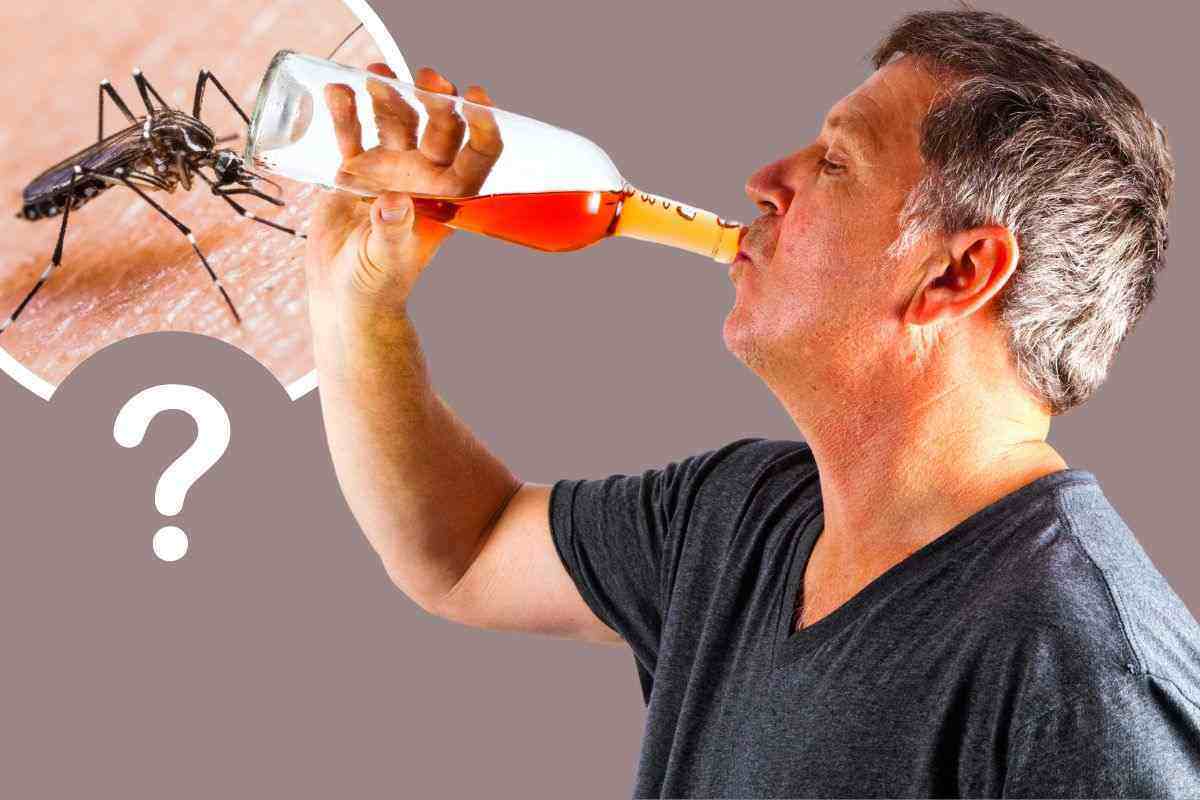 bere alcolici previene le punture di zanzara