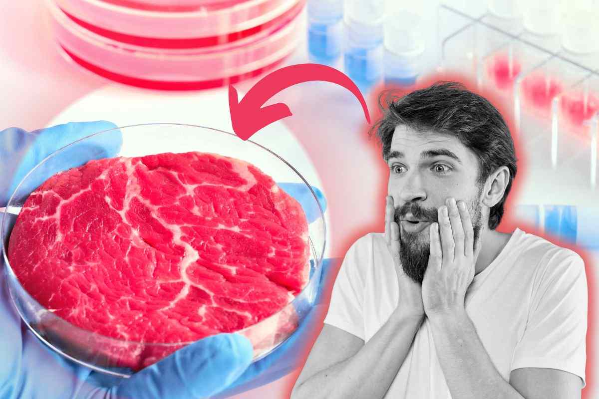 qual è il sapore della carne artificiale