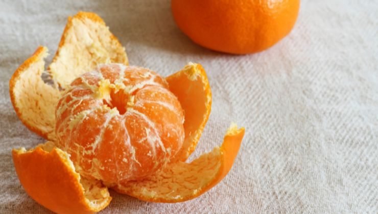 riciclo buccia mandarini