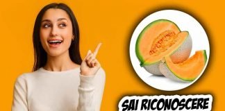 melone buono: come risconoscerlo