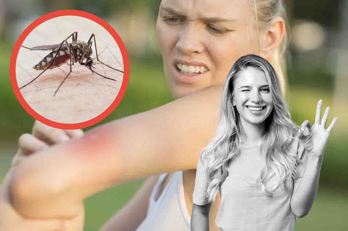 Cosa provoca la puntura di una zanzara