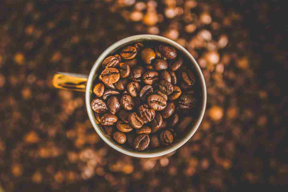 caffè contro malattie neurodegenerative