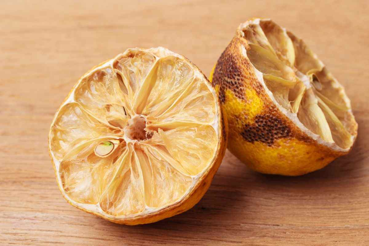 limoni andati a male riciclo