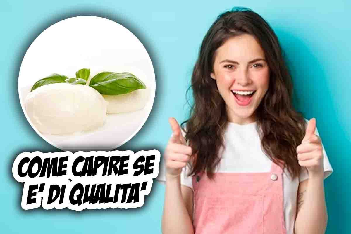 mozzarella come riconoscere qualità