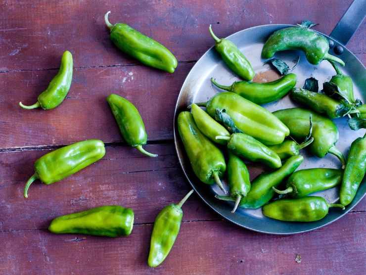 ricetta con friggitelli pomodori e provola