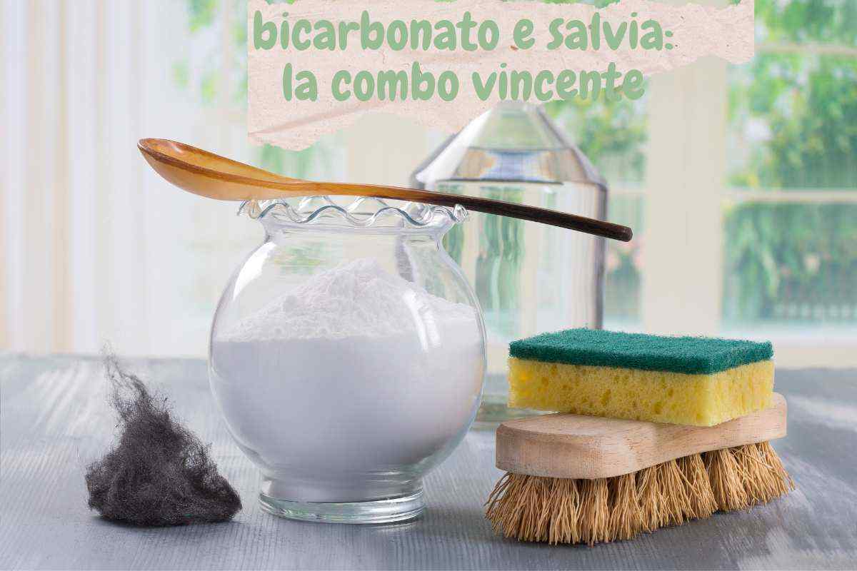 combo bicarbonato e salvia: ecco cosa è in gradi di fare