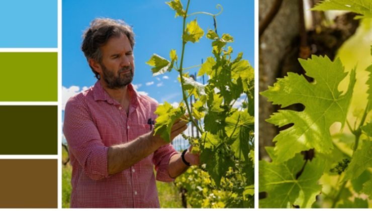 Cracco: il segreto dietro un'azienda agricola di successo