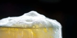 Quanta birra possiamo bere ogni giorno?