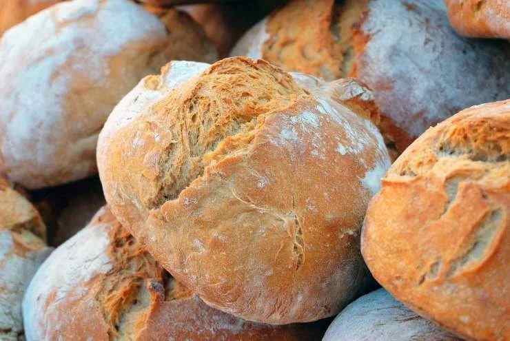 Gli ingredienti del pane del futuro