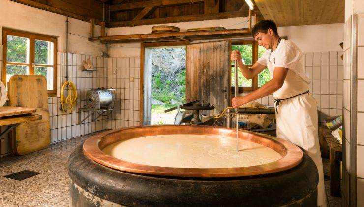 Il Graukase è un formaggio che ha un record: è magrissimo