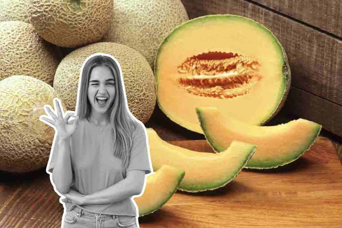 Non buttare i semetti del melone