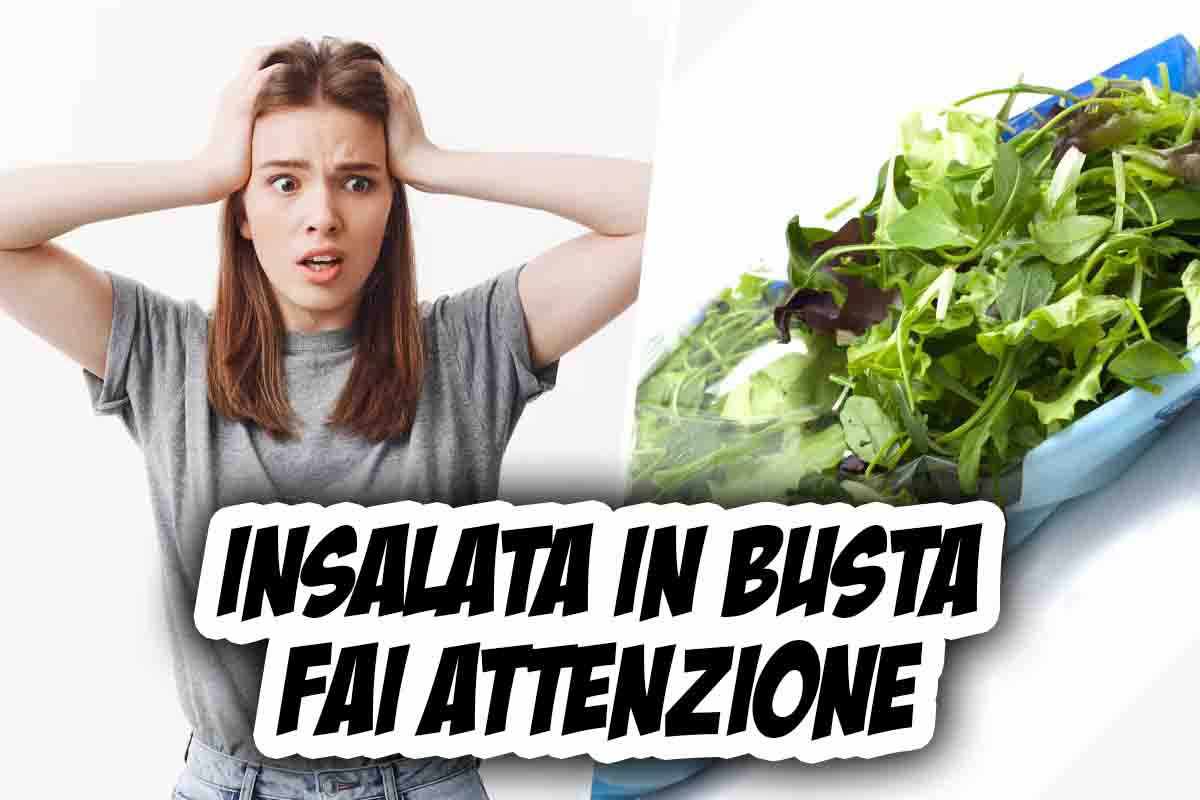 insalata in busta rischi