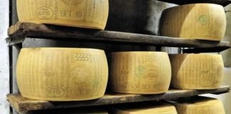 forme di parmigiano reggiano