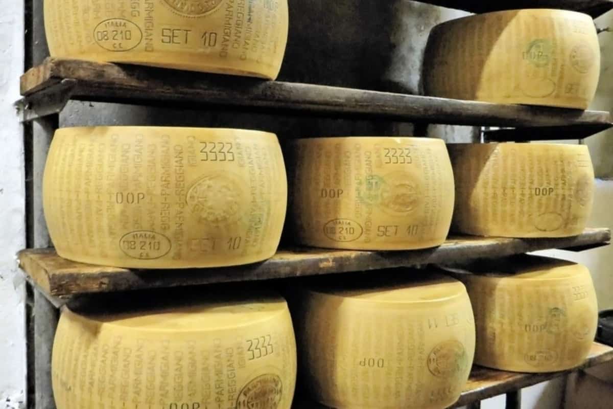 forme di parmigiano reggiano