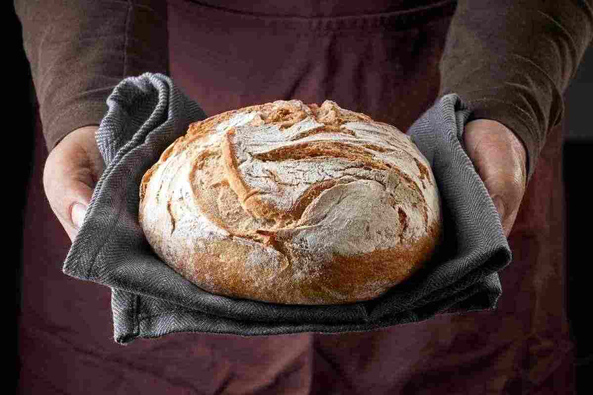 come si fa il pane in casa senza forno