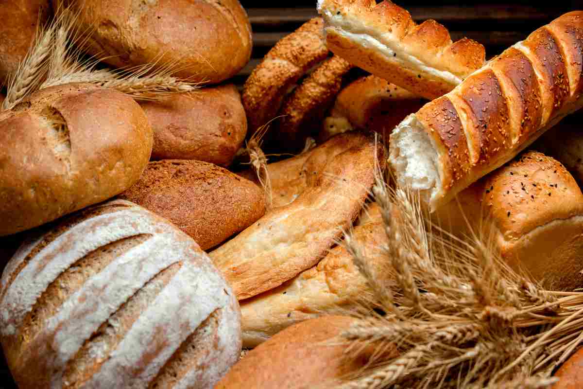 pane raffermo ricette