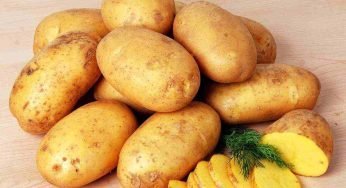 Allarme patate: richiamato un lotto di questo noto marchio per rischio chimico