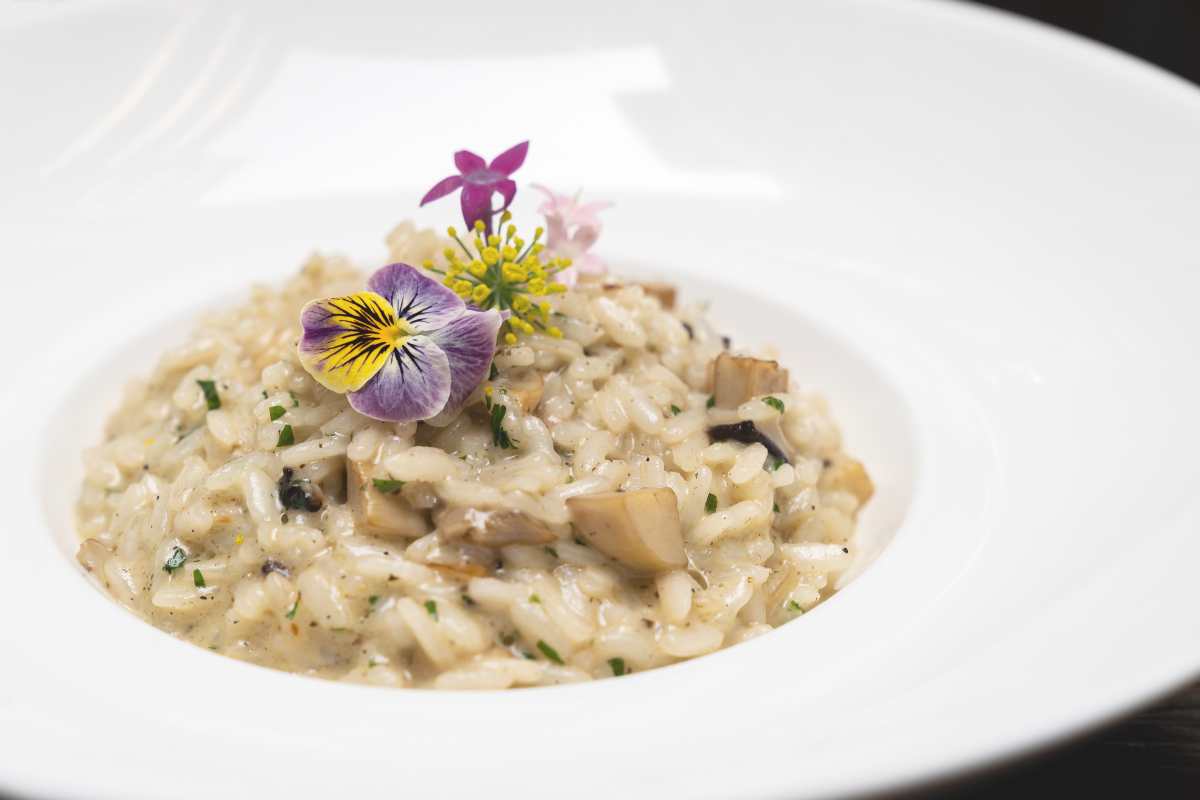 risotto del cavaliere ricetta