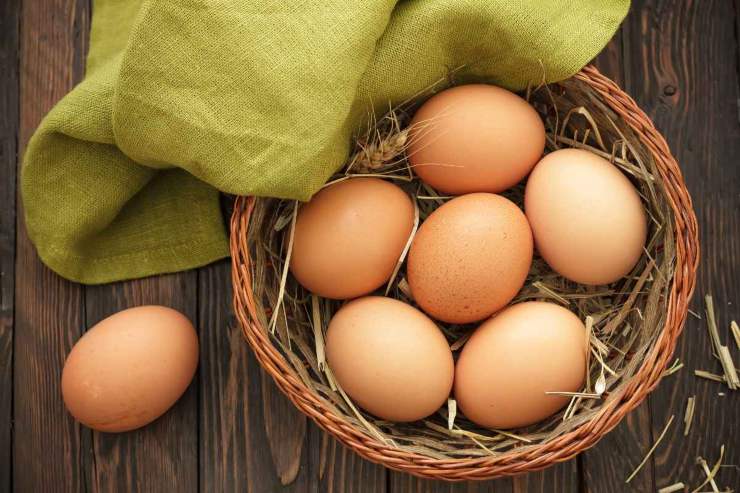 Perché non mangiamo le uova di tacchino?