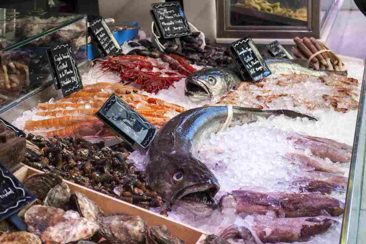 Questo pesce poco conosciuto è squisito ed economico