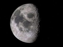 Dieta della Luna per depurare l'organismo